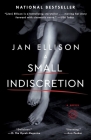 A Small Indiscretion: A Novel Cover Image