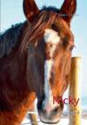 Nicky: Pferdeschicksale Cover Image