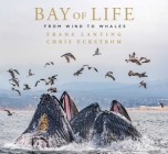 Bay of Life: From Wind to Whales Cover Image