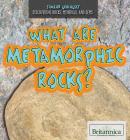 What Are Metamorphic Rocks? (Junior Geologist) By Judy Monroe Peterson Cover Image