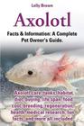 Axolotl. Axolotl Care, Tanks, Habitat, Diet, Buying, Life Span, Food, Cost, Breeding, Regeneration, Health, Medical Research, Fun Facts, and More All By Lolly Brown Cover Image