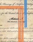 Constitution of the United States of Artificial Intelligence Cover Image