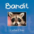 Bandit Cover Image