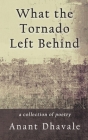 What the Tornado Left Behind By Anant Dhavale Cover Image