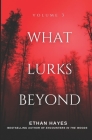What Lurks Beyond: Volume 3 By Ethan Hayes Cover Image