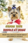Groom Your Doodle At Home: What You Should Know About Grooming A Doodle: Home Dog Grooming For Your Doodle Cover Image
