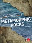 Metamorphic Rocks By Tracy Vonder Brink Cover Image