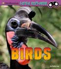 Birds: A 4D Book By Sally Lee Cover Image