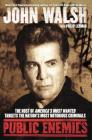 Public Enemies: The Host of America's Most Wanted Targets the Nation's Most Notorious Criminals By John Walsh, Philip Lerman Cover Image