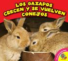 Los Gazapos Crecen y Se Vuelven Conejos (Los Animales Crecen) By Cecilia Minden Cover Image