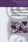 Rehabilitation of Visual Disorders After Brain Injury (Neuropsychological Rehabilitation: A Modular Handbook) Cover Image