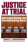 Justice at Trial: Courtroom Battles and Groundbreaking Cases By James J. Brosnahan, Erwin Chemerinsky (Foreword by) Cover Image