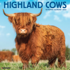 Highland Cows 2025 12 X 12 Wall Calendar By Willow Creek Press Cover Image