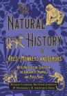 The Natural History of Apes, Monkeys and Lemurs - With Articles on Evolution, the Kingdom of Mammals and Much More By Richard Lydekker Cover Image