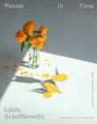 Liddy Scheffknecht - Points in Time: Arbeiten/Works 2010-2020 (Edition Angewandte) Cover Image