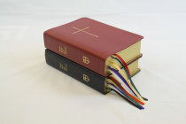 The Book of Common Prayer and Hymnal 1982 Combination: Red Leather Cover Image