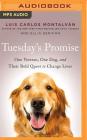 Tuesday's Promise: One Veteran, One Dog, and Their Bold Quest to Change Lives Cover Image