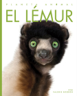 El lémur (Planeta animal) By Kate Riggs Cover Image