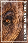 Terminplaner 2020: Jahresplaner von September 2019 bis Dezember 2020 mit Elefant - Planer mit 174 Seiten in weiß im Format A5 mit glänzen By Elefanten Kalender Cover Image