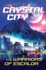 Crystal City By Dennis Amoroso Cover Image