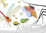 A Web By Inc Peter Pauper Press (Created by) Cover Image