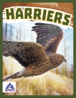 Harriers By Connor Stratton Cover Image