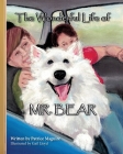 The Wonderful Life of Mr. Bear By Patrice Maguire, Gail Lloyd (Illustrator) Cover Image