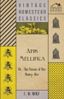 Apis Mellifica - Or, The Poison Of The Honey-Bee By C. W. Wolf Cover Image