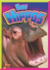 Baby Hippos (Adorable Animals) By Deanna Caswell Cover Image