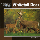 Whitetail Deer (Our Wild World) By Laura Evert Cover Image