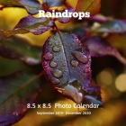 Raindrops 8.5 X 8.5 Calendar September 2019 -December 2020: Monthly Calendar with U.S./UK/ Canadian/Christian/Jewish/Muslim Holidays-Weather Nature Pr By Lynne Book Press Cover Image