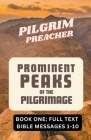 Prominent Peaks of the Pilgrimage 1 By Pilgrim Preacher Cover Image