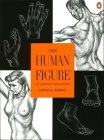 The Human Figure: An Anatomy for Artists Cover Image