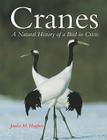 Cranes: A Natural History of a Bird in Crisis By Janice Hughes Cover Image