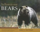 Yellowstone Bears in the Wild By James C. Halfpenny, Michael H. Francis (Photographer), Kerry A. Gunther (Foreword by) Cover Image