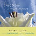 Peace in the Present Moment Cover Image