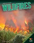 Wildfires (Earth in Action) By Rebecca Rowell Cover Image
