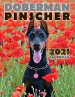 Doberman Pinscher 2021 Calendar Cover Image