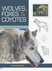 Wolves, Foxes & Coyotes (Wildlife Painting Basics) By Jan Martin McGuire Cover Image