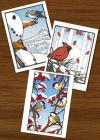 Winter Birdies Assortment (Boxed): Boxed Set of 6 Cards By Bruce Smith, Yoshiko Yamamoto (Artist) Cover Image