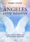 Ángeles entre nosotros: Lo que revela la Biblia sobre los encuentros angelicales   / Angels Among Us Cover Image