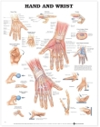 Hand and Wrist Anatomical Chart By Anatomical Chart Company (Prepared for publication by) Cover Image