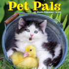 Pet Pals 2025 12 X 12 Wall Calendar By Willow Creek Press Cover Image