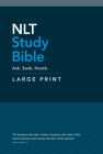 NLT Study Bible Large Print (Red Letter, Hardcover) Cover Image