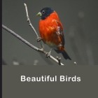 Beautiful Birds: Full Color Photo Book Colorful Birds Pictures Beautiful Nature Photo By Oriental Treasure Press Cover Image