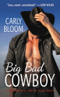 Big Bad Cowboy (Once Upon a Time in Texas #1) Cover Image