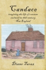 Candace: Imagining the Life of a Woman Enslaved in 18th-Century New England By Diane Taraz Cover Image