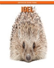 Igel! (Entdecke deine Tiere) By Federica Lieto Cover Image