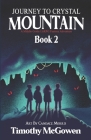Journey to Crystal Mountain Book 2: A Middle Grade LitRPG Fantasy Adventure Cover Image