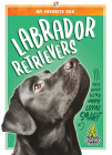 Labrador Retrievers By K. C. Kelley Cover Image